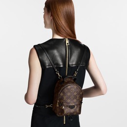 Рюкзак Louis Vuitton Palm Springs Mini Monogram, коричневый m44873 | monogram