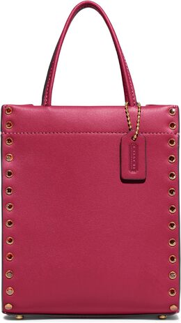 Сумка Coach Crystal Rivets Mini Cashin Tote, цвет Hyacinth 9855094 | hyacinth