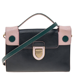 Christian Dior Multicolor Leather Christian Diorever Top Handle Bag 571039