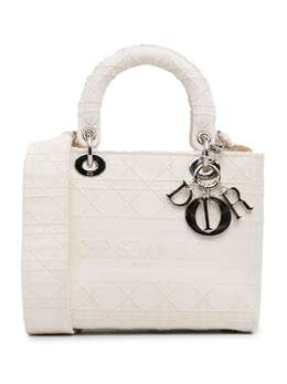 Christian Dior 2020 Medium Cannage Lady D-Lite satchel 23873227