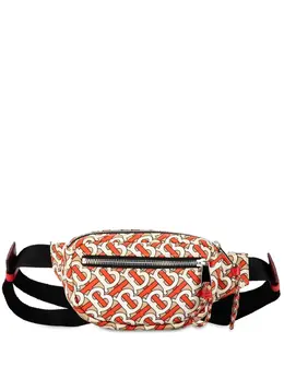 Burberry 2017-2023 TB Monogram Nylon Cannon belt bag 24705962