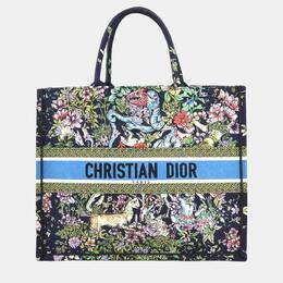 Christian Dior Multicolor Canvas Embroidered Large D-Constellation Book Tote Bag 1047826
