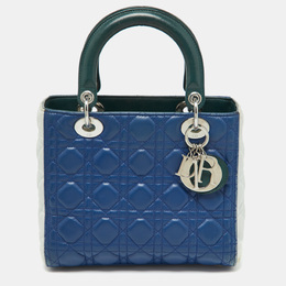 Christian Dior Multicolor Cannage Leather Medium Lady Christian Dior Tote 1050569