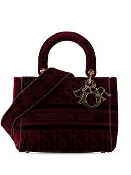 Christian Dior 2020 Medium Velvet Cannage Lady D Lite satchel 27355745