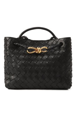 Сумка Andiamo small Bottega Veneta 766014/vcpp1