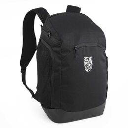 Рюкзак Basketball Pro Backpack Puma, цвет Schwarz 214473001one | schwarz