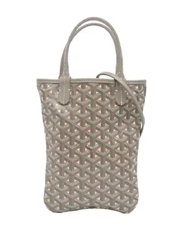 Goyard 2022 Goyardine Poitiers Claire Voie satchel 29287950