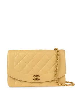 Chanel 1995 medium Diana shoulder bag 29370467