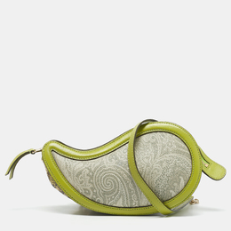 Etro Green/Grey Paisley Coated Canvas and Python Embossed Crossbody Bag 1130044