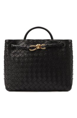 Сумка Andiamo medium Bottega Veneta 766016/vcpp1