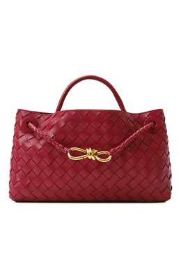 Сумка Andiamo East-West Bottega Veneta 766010/vcpp1