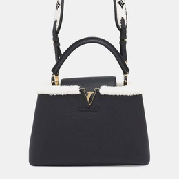 Louis Vuitton Black Capucines Taurillon Leather Shearling MM Bag 1143854