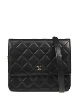 Chanel 2007 WOC shoulder bag 30123979