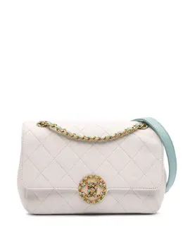 Chanel 2019 CC Quilted Calfskin Single Flap shoulder bag 30443191