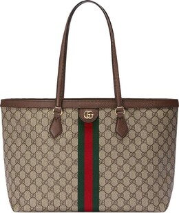 Сумка Gucci Ophidia GG Medium Tote Beige/Ebony, загар 631685 96iwb 8745 | tan