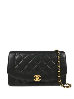 Chanel 1995 medium Diana shoulder bag 30252449