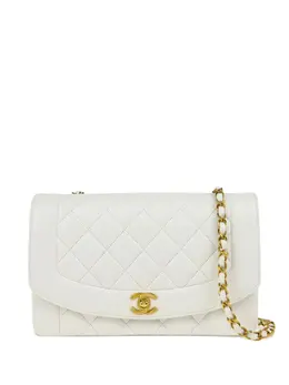 Chanel 1995 medium Diana shoulder bag 30648091