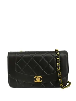 Chanel 1995 small Diana shoulder bag 30738913