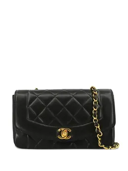 Chanel 1995 small Diana shoulder bag 30738884