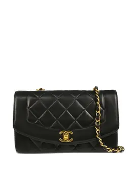 Chanel 1995 small Diana shoulder bag 30294155