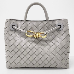 Bottega Veneta Grey Leather Andiamo Small bag 1170710