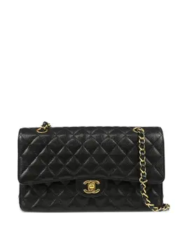 Chanel 2019 medium Classic Double Flap shoulder bag 30399209