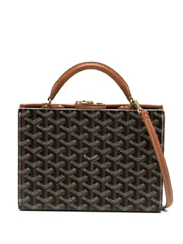 Goyard Trunk crossbody bag 30881067