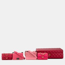 Chanel Multicolor Chanel Limited Edition Success Story Quilted Lambskin Trunk Set of 4 Mini Bags 1174987