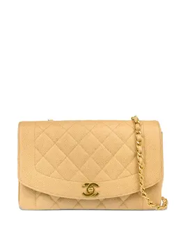 Chanel 1995 medium Diana shoulder bag 30993457