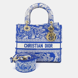 Christian Dior Blue White Fabric D-LITE Lady Bag Medium 1179026
