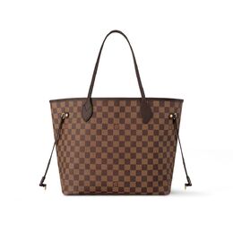 Сумка женская Louis Vuitton, коричневый n40599 | brown