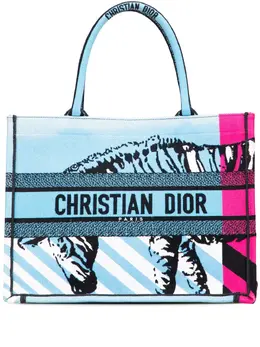 Christian Dior 2022 Medium Embroidered Canvas Zebra D Jungle Pop Book tote bag 31188664