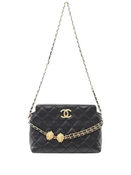 Chanel 2021-2025 Quilted Lambskin Leo shoulder bag 31219733