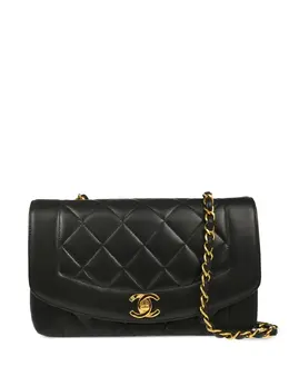 Chanel 1995 small Diana shoulder bag 29546707