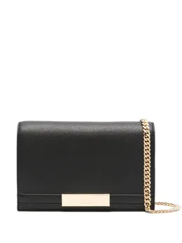 Elisabetta Franchi mini gold-plaque clutch bag 31154502