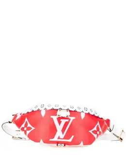 Louis Vuitton 2019 Monogram Giant Bumbag belt bag 31361068