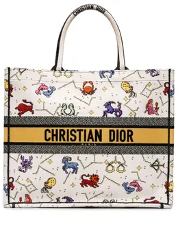 Christian Dior 2022 Large Zodiac Pixel Zodiac Book tote bag 31365986