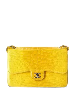 Chanel Jumbo Double Flap shoulder bag 31220973