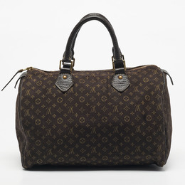 Louis Vuitton Fusain Monogram Mini Lin Canvas Speedy 30 Bag 1189274