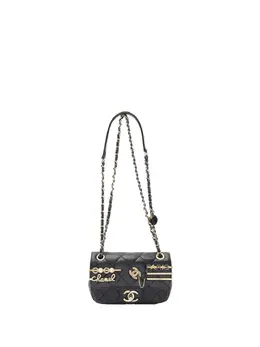 Chanel 2021-2025 Mini Quilted Lambskin Coco Clips Flap shoulder bag 31482045