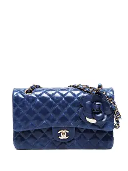 Chanel 2011 medium Classic Double Flap shoulder bag 31443784