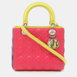 Christian Dior Lady Christian Dior Pink Green Blue Leather Shoulder Bag 1192378