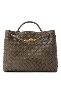 Сумка Andiamo medium Bottega Veneta 766016/vcpp1