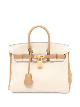 Hermes 2023 Birkin 25 handbag 31710699