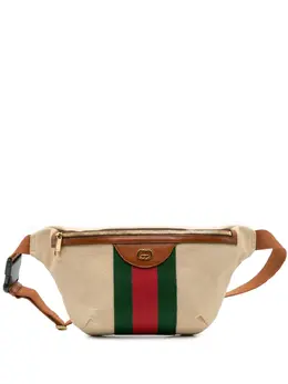 Gucci 2016-2025 Canvas Web belt bag 31800742