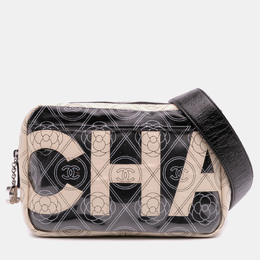 Chanel Black Coated Canvas Camellia Logo Camera Bag 1202732