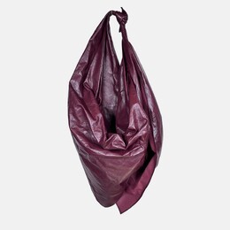 Bottega Veneta Foulard Burgundy Bag 1204442