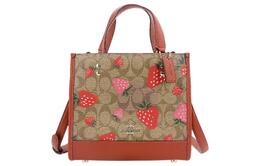 Сумка Демпси Coach ch324-ime7v