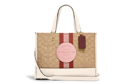 Сумка Демпси Coach 4113-imswz