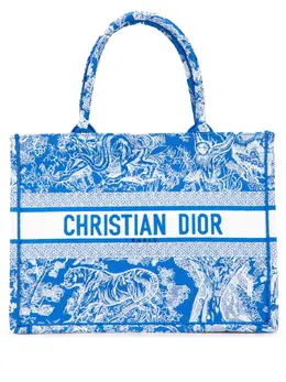 Christian Dior 2022 Medium Canvas Embroidered Dioriviera Toile De Jouy Book tote bag 31941598